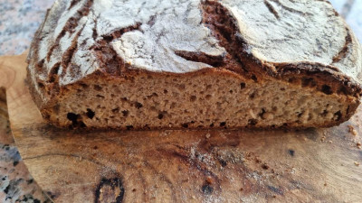 Roggenbrot - Kruste und Krume