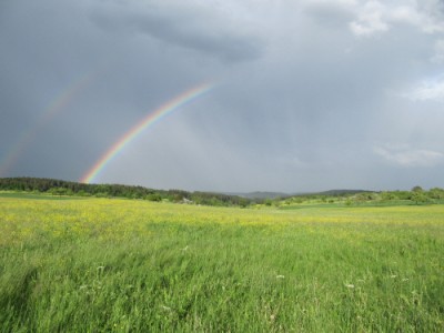 Regenbogen.JPG