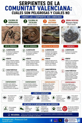 Welche Schlangen giftig sind und welche nicht<br />Plakat der GVA<br />Zum Vergrößern ---> Doppelklick
