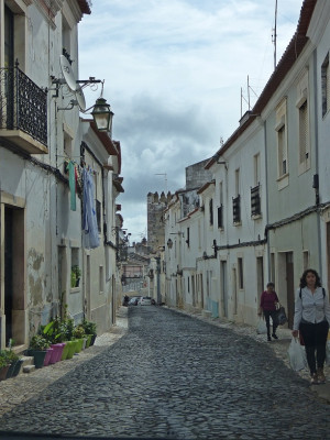 P1170226.JPG