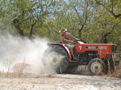 K800_Traktor1.JPG