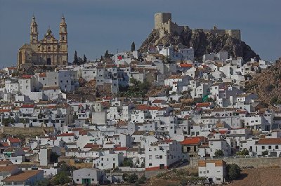 Olvera