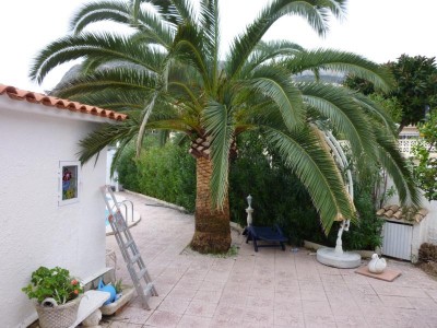 K800_P1000118.JPG (121.22 KiB) 2654 mal betrachtet vorher