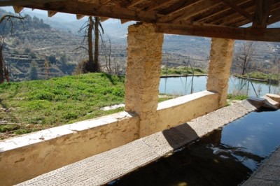 DSC_0304.JPG (124.81 KiB) 5622 mal betrachtet Auch hier wieder die schrägen Wände an den Rändern, auf denen die Wäsche gewalkt werden konnte.