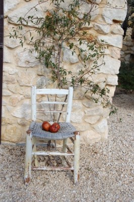 Alter Stuhl mit Granatäpfeln 2/2010