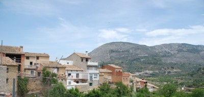 DSC_0338.JPG