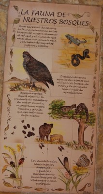 Detail: Fauna der Region
