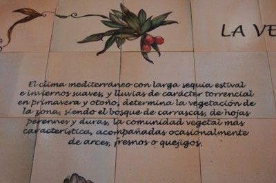 Detail des Waschhauses: Klima und Vegetation