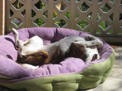 feliciainmoraira 030 [640x480].JPG