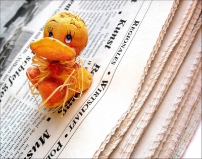 © berwis / www.pixelio.de