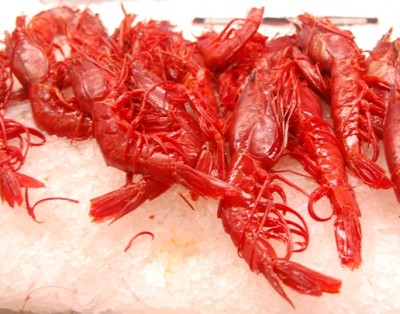 Gambas rojas2.JPG