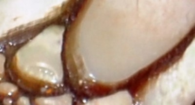 Alte Frage, neues Bild: Was ist das?