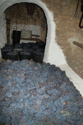 Der Wein liegt bereits in der Grube bereit.