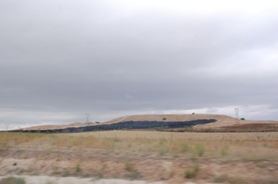 Was &quot;wächst&quot; da in der Landschaft?&quot;