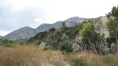 Aber wir sind heute stundenlang durch unsere wilde Landschaft