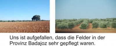 Landschaft neu.jpg (148.61 KiB) 5365 mal betrachtet Das Bild lässt sich vergrößern.