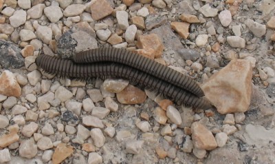 Mutter und Tochter, Mutter und Sohn, Frau mit Mann, Mann mit Frau? Oder kann die da oben nicht mehr laufen???
