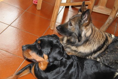 Emmi und Nelly