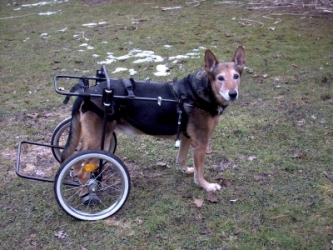 Chico mit Wagen4.jpg