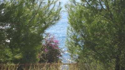 ingridundmarioinmoraira 009 [800x600].jpg