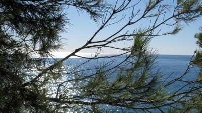 ingridundmarioinmoraira 030 [800x600].jpg