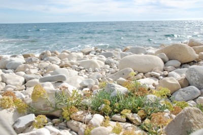 Noch ein Bild, das völlig OFF TOPIC ist, aber es stammt aus der selben Gegend und ich habe es heute Nachmittag aufgenommen. Depende, ich habe es doch noch geschafft, ans Meer zu kommen...