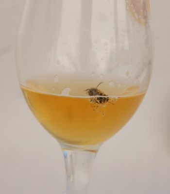 Novemberrätsel.JPG (76.92 KiB) 3405 mal betrachtet Das ist die Lösung.