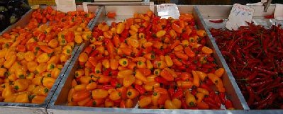 Paprikas und Chilis