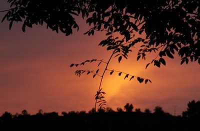 PICT0047.JPG, x.jpg