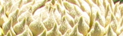 Was ist das?