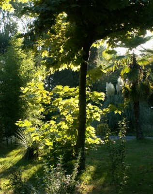 PICT0013.JPG, x.jpg