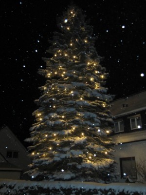 Weihnachtsbaum.JPG