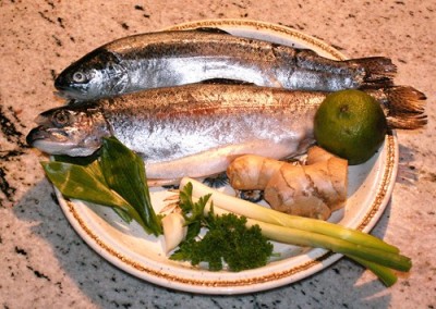 PICT0006.JPG, x.jpg