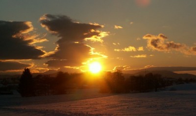 PICT0038.JPG, x.jpg