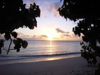 Seychellen - Praslin - Anse Kerlan 1.JPG