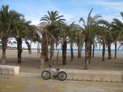 Sogar die Palmen sehen traurig aus ...