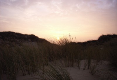 Sylt - Morsum-Kliff 2.JPG