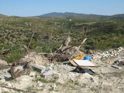 Müll an einem Camino rural.JPG (43.84 KiB) 33965 mal betrachtet Müll am Camino rural