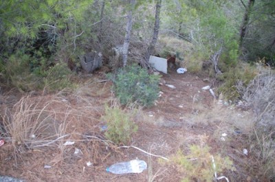Müll im Wald.JPG (122.19 KiB) 36633 mal betrachtet Müll im Wald
