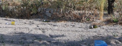 Müll nach Fiesta auf einem Feld.JPG (201.3 KiB) 36633 mal betrachtet Müll nach einer Fiesta auf einem Feld