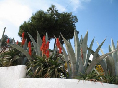 03.02.2008 068.JPG