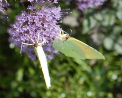 DSC_0124.JPG