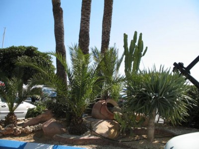 Garten6.JPG (69.71 KiB) 2725 mal betrachtet Mäuerchen