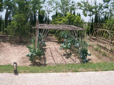 Klaras Kommunion 104.JPG (96.36 KiB) 2950 mal betrachtet Bohnen