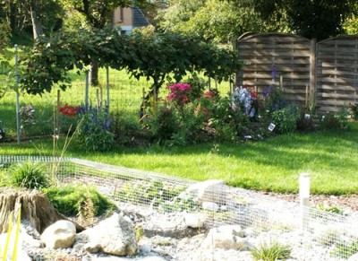 PICT0043.JPG, 1.jpg, x.jpg (99.5 KiB) 2021 mal betrachtet PICT0043.JPG, 1.jpg, x.jpg