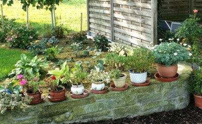 PICT0150.JPG, 1.jpg, x.jpg (82.46 KiB) 1852 mal betrachtet PICT0150.JPG, 1.jpg, x.jpg