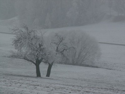 PICT0003.JPG, x.jpg