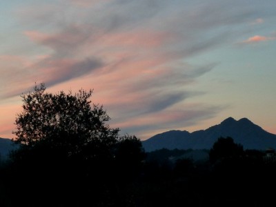 P1080210.JPG