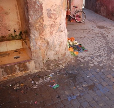 6 Gemüse NEBEN mÜLL auf der Straße.JPG (137.17 KiB) 3158 mal betrachtet Gemüse liegt neben Abfall