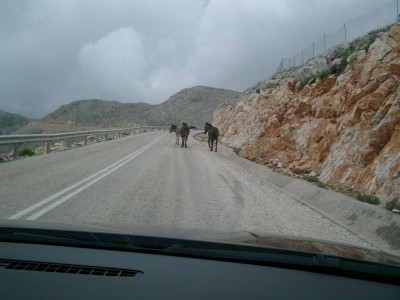 Halki 020.jpg (166.44 KiB) 2108 mal betrachtet Vorsicht Gegenverkehr